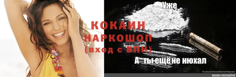 Cocaine 99%  купить закладку  Бакал 