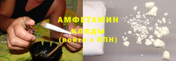 прущие грибы Абаза